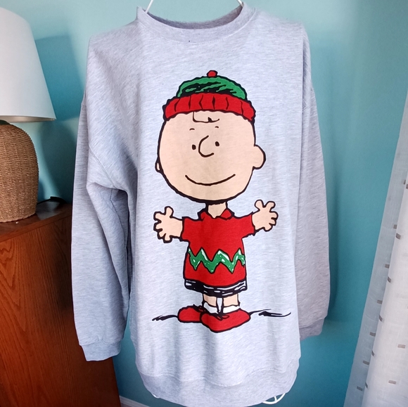 Peanuts Other - NWT Peanuts Charlie Brown Pullover Sweatshirt - Unisex Size XXLarge